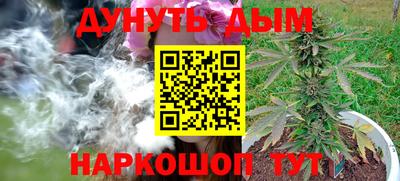 гидропоника Донской