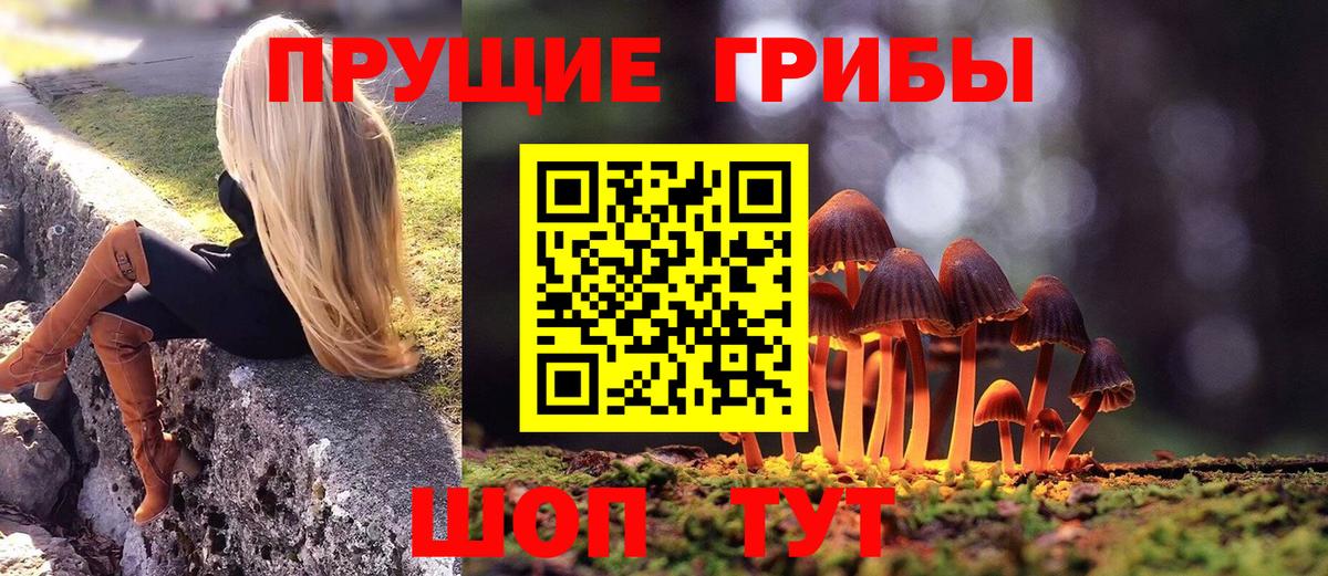 Псилоцибиновые грибы мухоморы Мыски