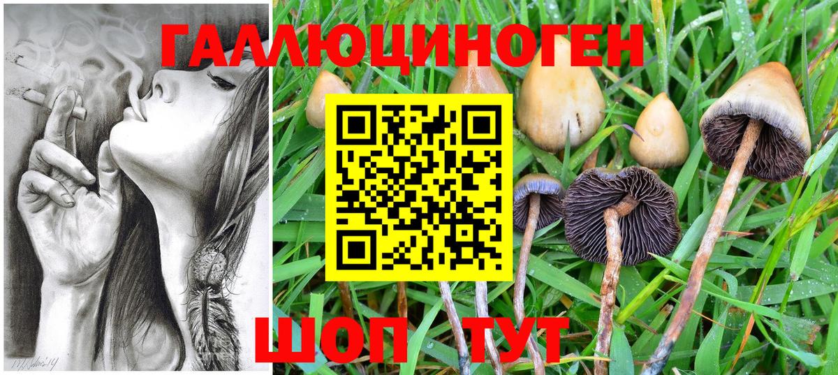 Псилоцибиновые грибы Cubensis  Галлюциногенные грибы мухоморы  Мыски  Вход с VPN 